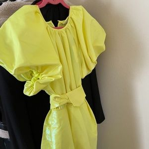 Christopher John Rogers for Target Puff Sleeve Tie Waist Volume dress